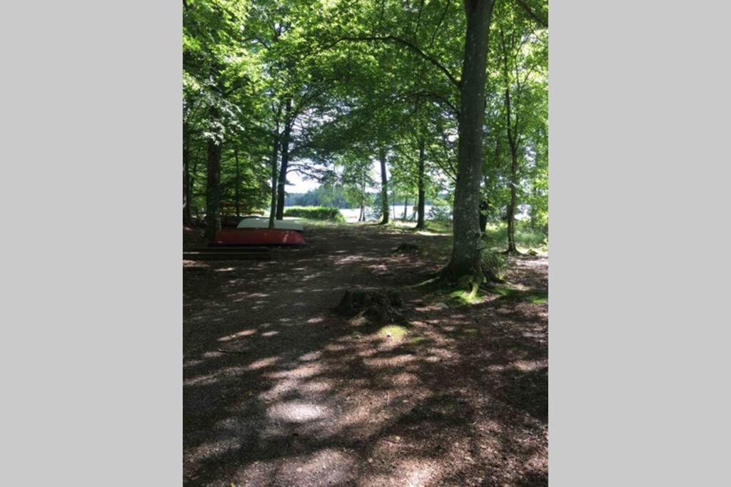 Very Nice Cottage By The Lake. Lursjoen! Hästveda المظهر الخارجي الصورة